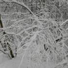 IMG_20171207_131514