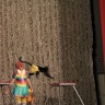 IMG_4446.JPG