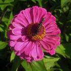 DSCN1510.JPG