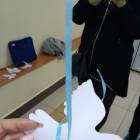 голубь2