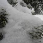 DSCN5318.JPG