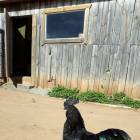 IMG-20180916-WA0021