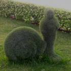 DSCN1020.JPG