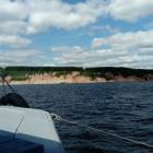 DSC_1174.JPG