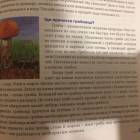 моя книжная полка104138