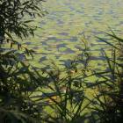 DSCN1555.JPG