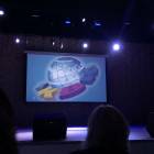 IMG_4682.JPG