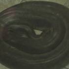 DSCN0422.JPG