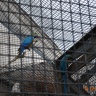 в московском зоопарке3723