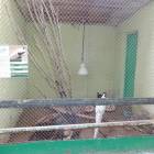 DSC05921.JPG