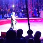DSC07443.JPG