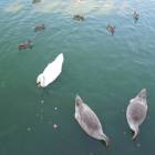 DSCN4590.JPG