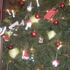 DSCN6731.JPG