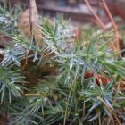 DSCN5037.JPG
