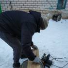 Кормушка для пернатых друзей120573