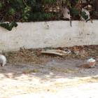 DSC06092.JPG