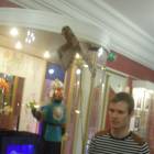 DSCN7303.JPG