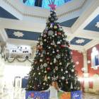DSCN7049.JPG