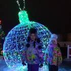 Мои новогодние каникулы133953