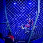 IMG_9878.JPG