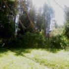 DSCN1599.JPG