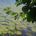 DSCN1558.JPG