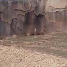 IMG_20160828_085037