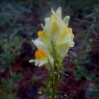 DSCN0368.JPG
