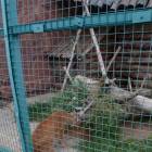 IMG_20160828_093309