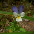 DSCN0631.JPG