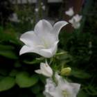 DSCN0640.JPG