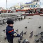 Встреча с голубями и как мы из кормили.61700