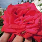 DSCN9631.JPG