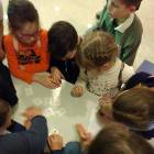 IMG_20171126_092830