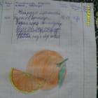 уку көндәлеге 174428