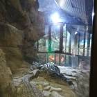 Казанский океанариум95534