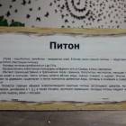 КК№46.Парк тропических бабочек.62375