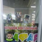 Китайский трионикс83828