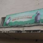 DSCN4955.JPG