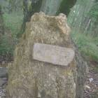 DSCN0316.JPG