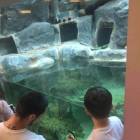 IMG-20190604-WA0091