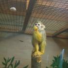 DSCN4822.JPG