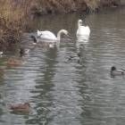 DSCN4925.JPG