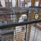 IMG_20181101_174409