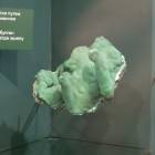DSCN8534.JPG