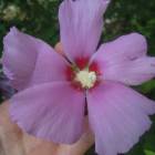DSCN0461.JPG
