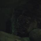 DSCN4860.JPG