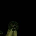 IMG-20171230-WA0047