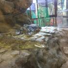 IMG_20171112_191452