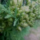 DSCN0317.JPG